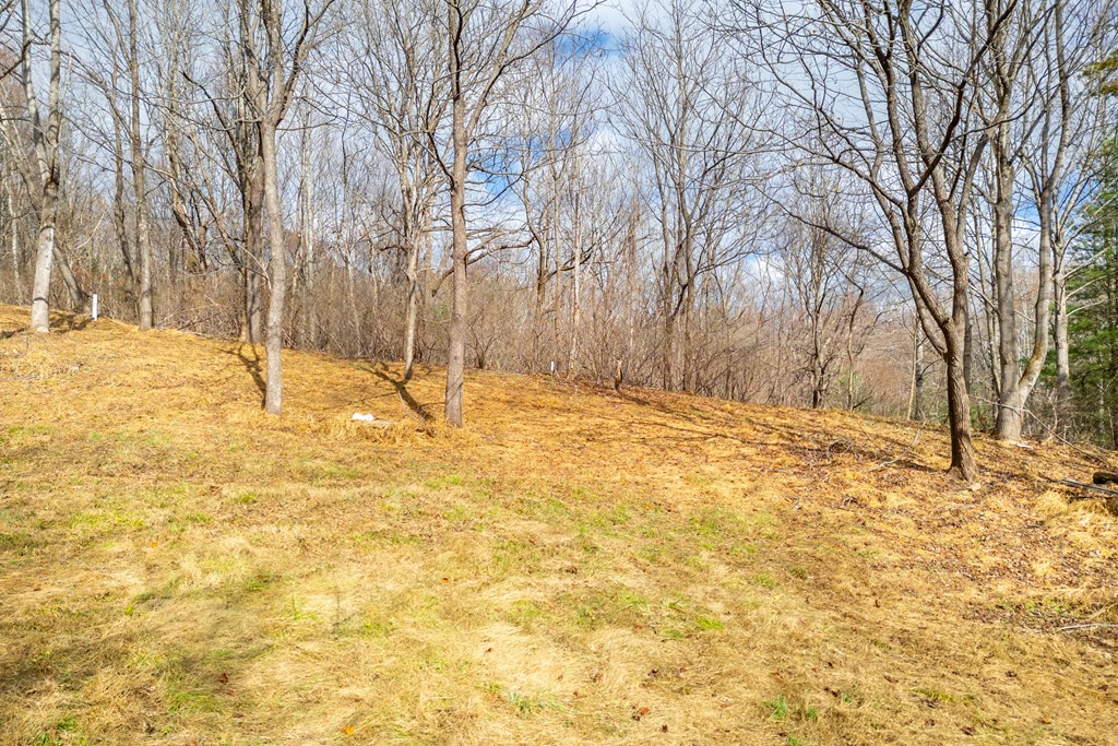 Fancy Gap, Virginia 24328, United States, ,Land,Active,33254