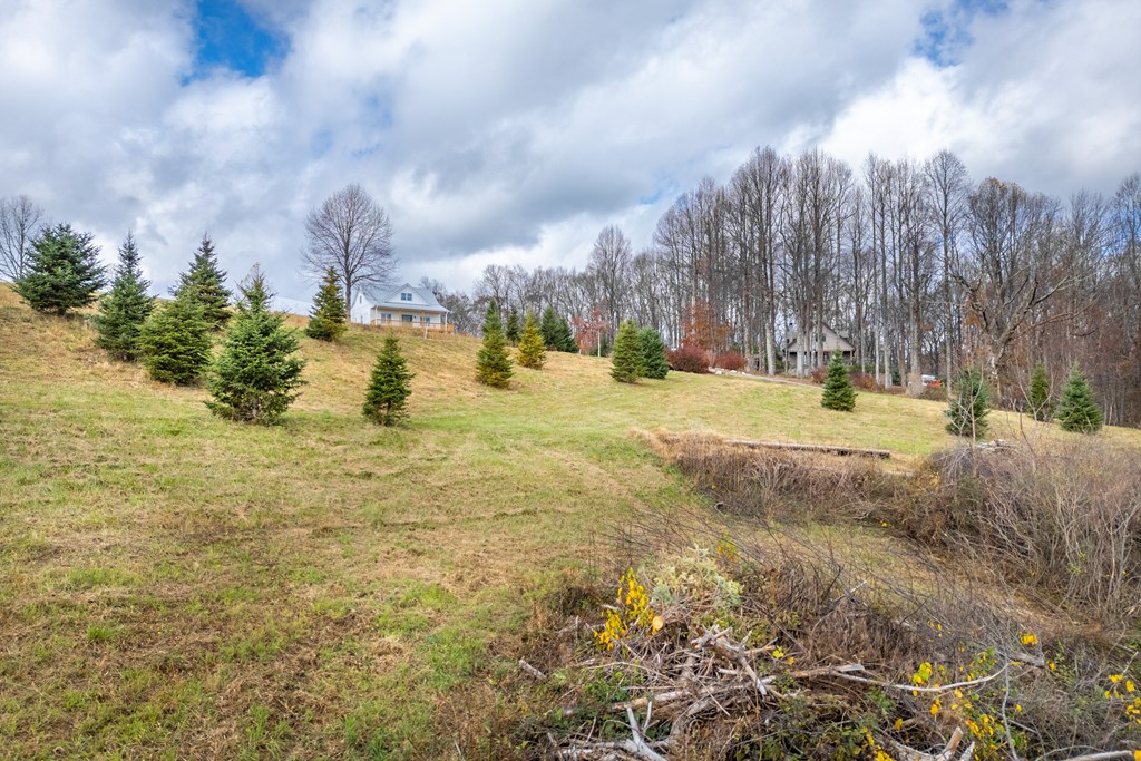 Fancy Gap, Virginia 24328, United States, ,Land,Active,33254