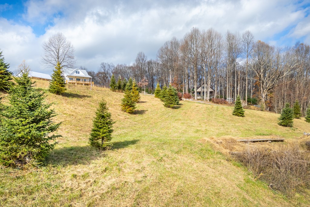 Fancy Gap, Virginia 24328, United States, ,Land,Active,33254