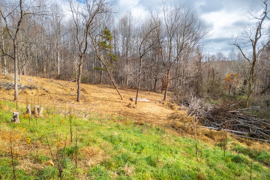 Fancy Gap, Virginia 24328, United States, ,Land,Active,33254