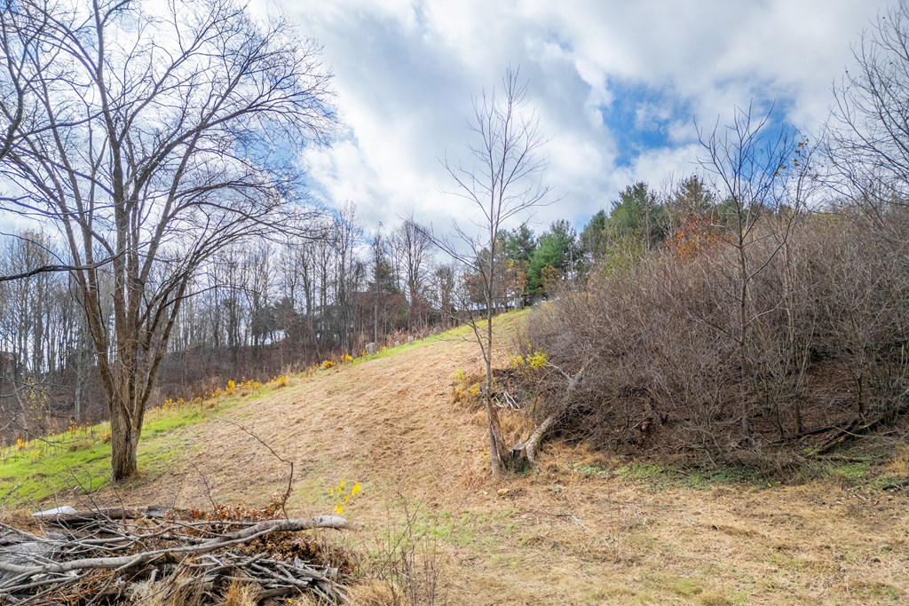 Fancy Gap, Virginia 24328, United States, ,Land,Active,33254