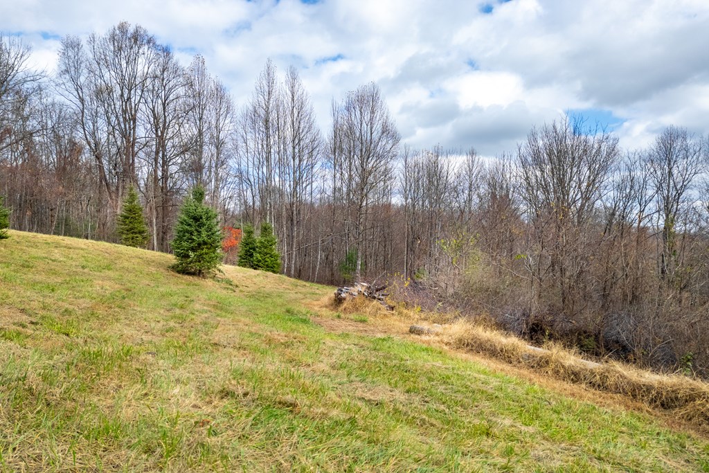 Fancy Gap, Virginia 24328, United States, ,Land,Active,33254