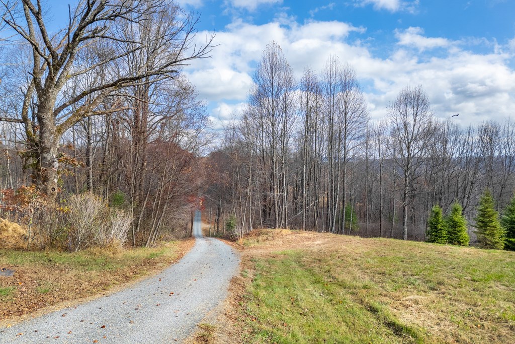 Fancy Gap, Virginia 24328, United States, ,Land,Active,33254