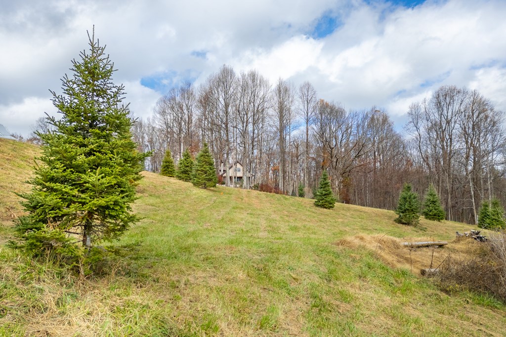 Fancy Gap, Virginia 24328, United States, ,Land,Active,33254