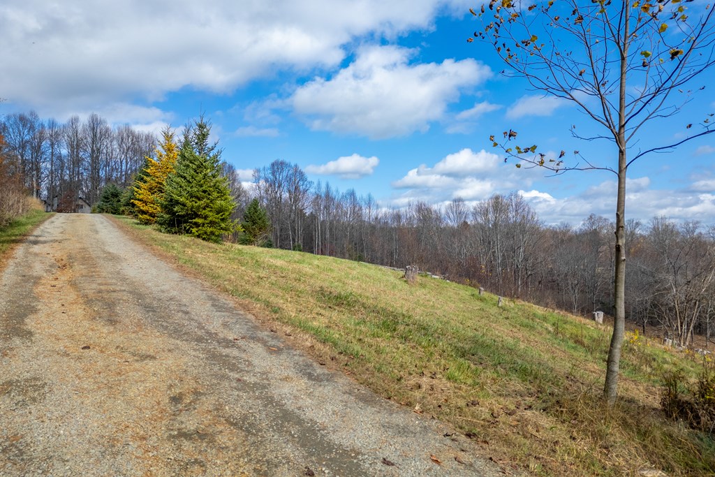 Fancy Gap, Virginia 24328, United States, ,Land,Active,33254