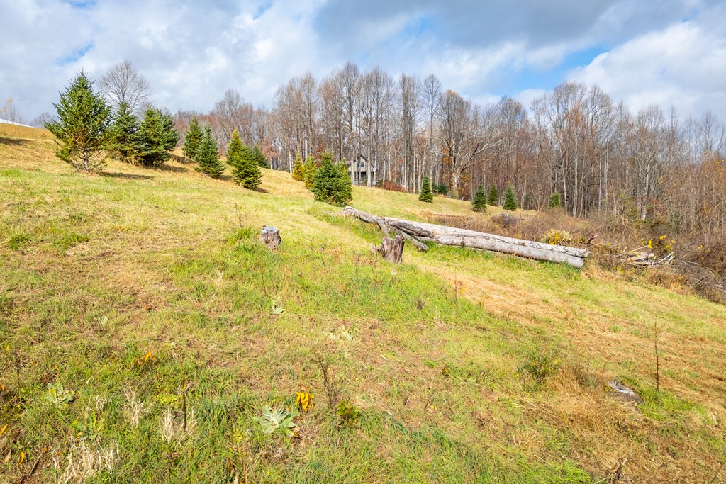 Fancy Gap, Virginia 24328, United States, ,Land,Active,33254