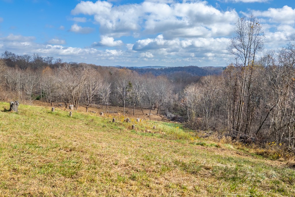 Fancy Gap, Virginia 24328, United States, ,Land,Active,33254