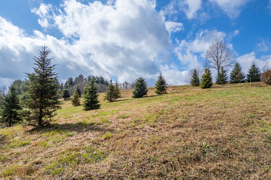 Fancy Gap, Virginia 24328, United States, ,Land,Active,33254