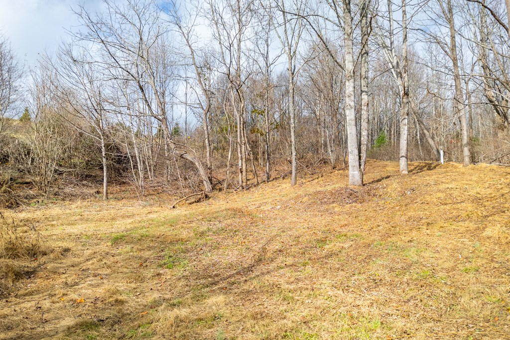 Fancy Gap, Virginia 24328, United States, ,Land,Active,33254