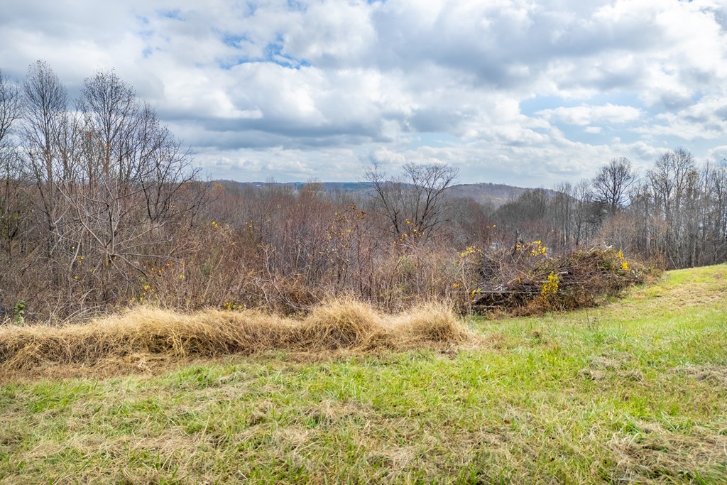 Fancy Gap, Virginia 24328, United States, ,Land,Active,33254