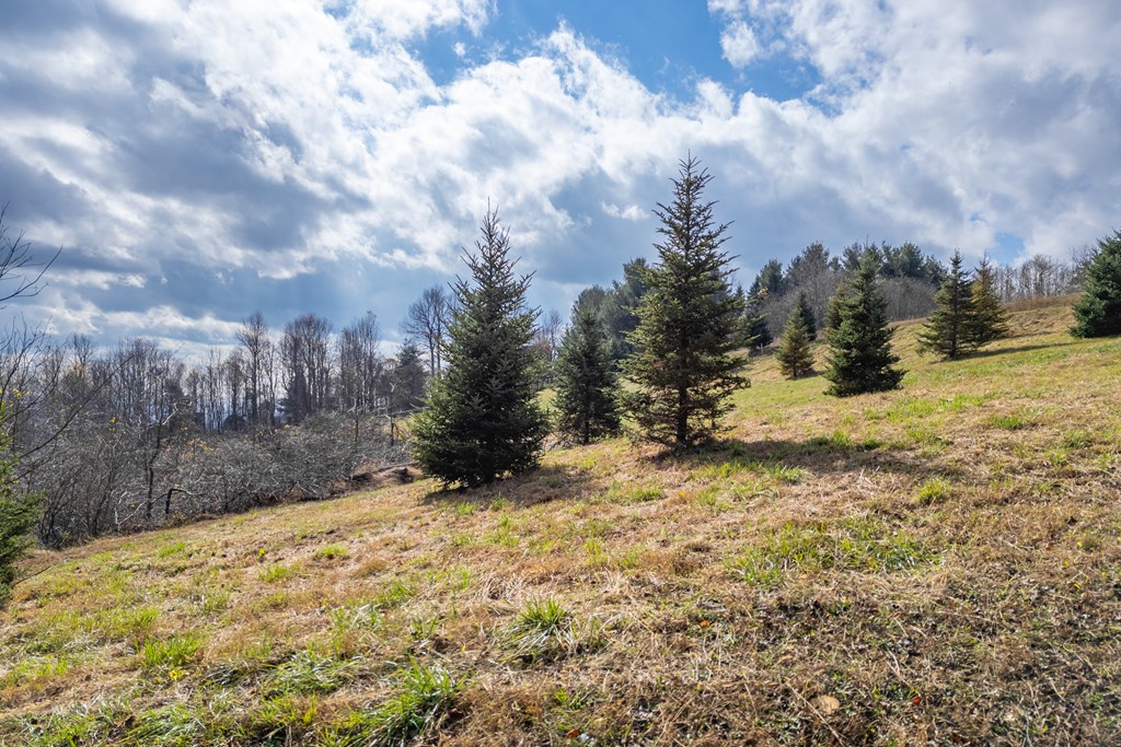 Fancy Gap, Virginia 24328, United States, ,Land,Active,33254