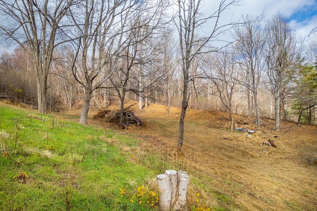 Fancy Gap, Virginia 24328, United States, ,Land,Active,33254