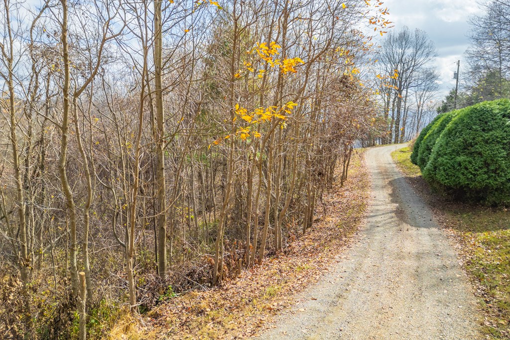 Fancy Gap, Virginia 24328, United States, ,Land,Active,33254