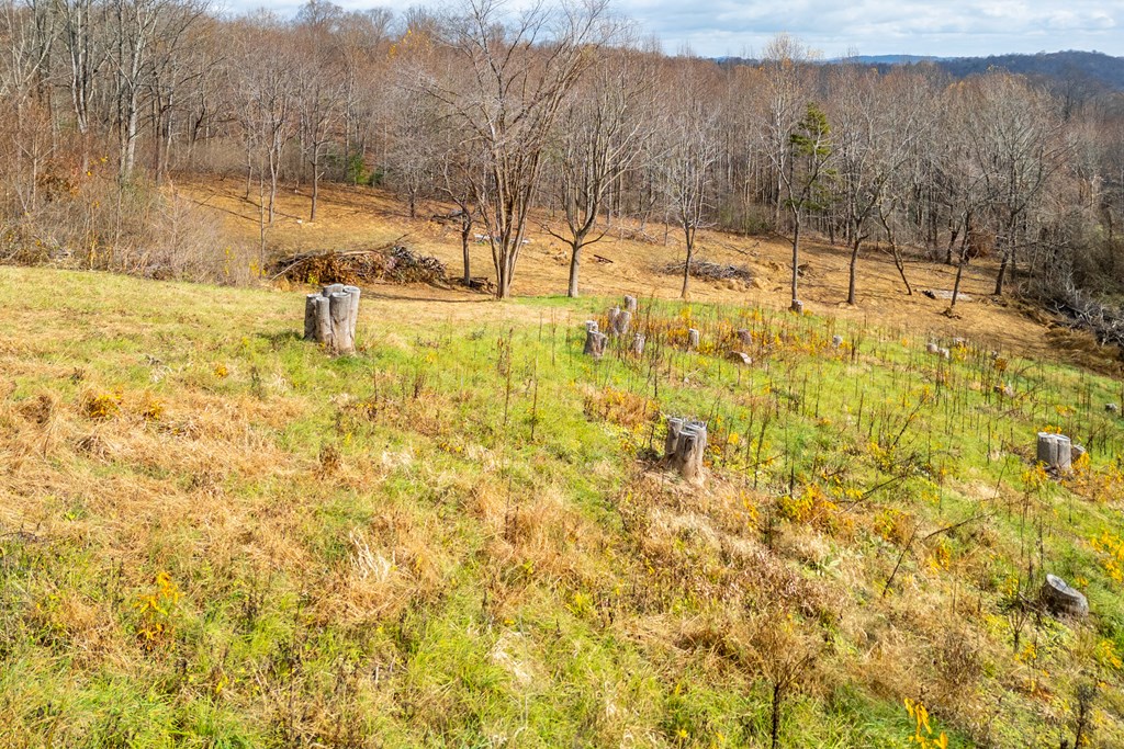 Fancy Gap, Virginia 24328, United States, ,Land,Active,33254