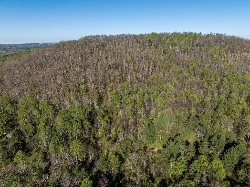 Photo of TBD Danville Pike Road #83, Meadows of Dan, VA 24120 (MLS # 109859)