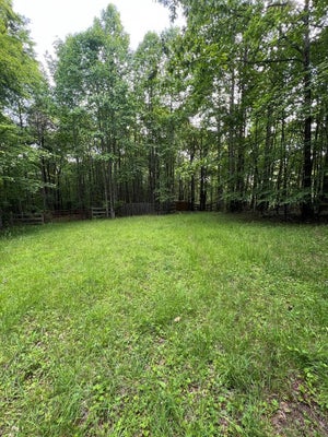 ADDRESS PRIVATE, LAUREL FORK, VA 24352 - Image cc95ecef8b465f53b0e491de28d0eebb/3356839847