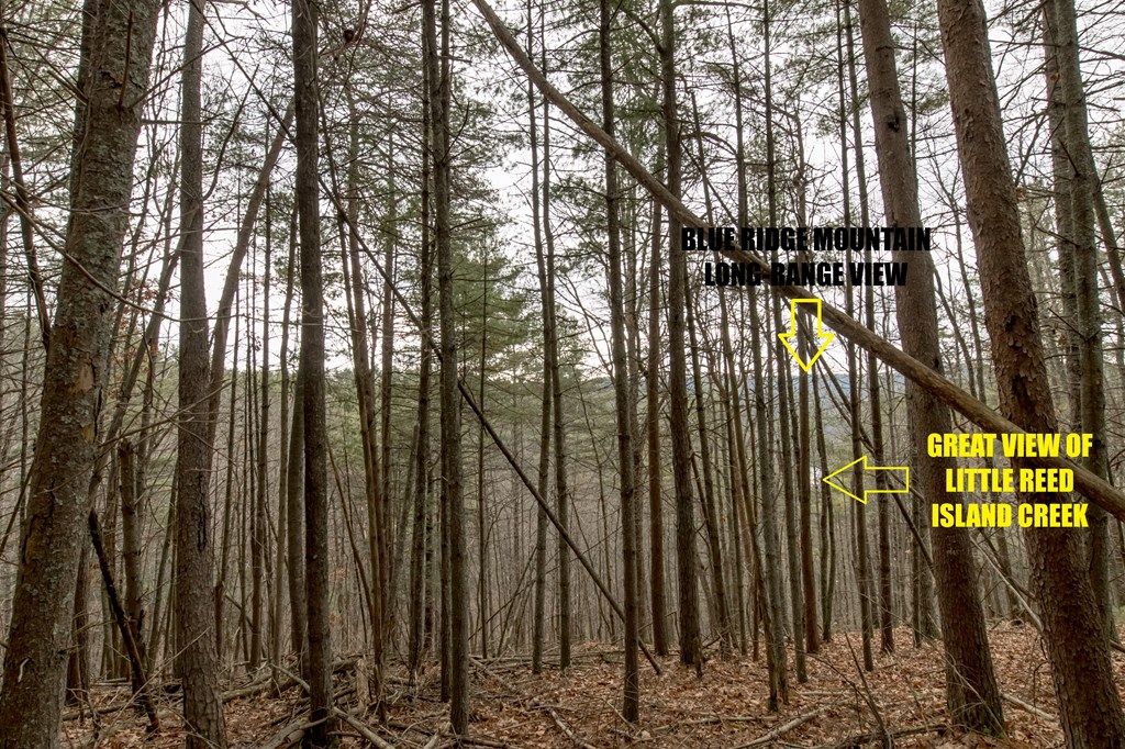 Photo of 2 Lumber Ln #2, Hillsville, VA 24343 (MLS # 104286)