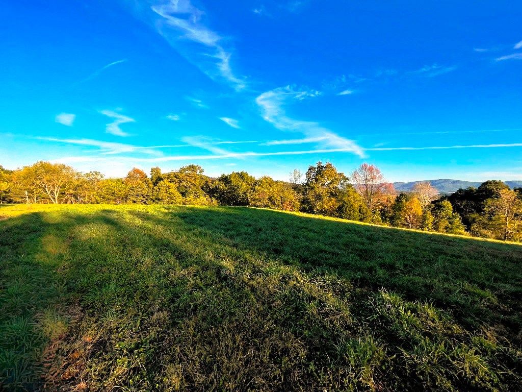 Photo of 388 Spraker Road #A, Crockett, VA 24323 (MLS # 103778)