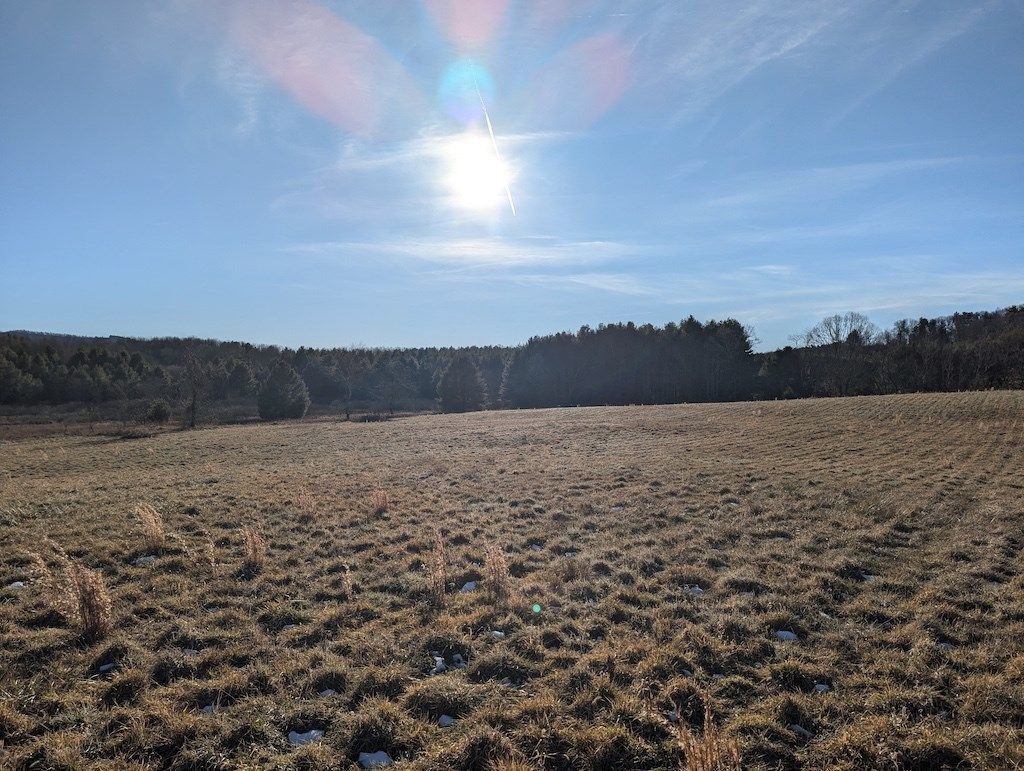 Photo of TBD Firehouse Rd #1, Willis, VA 24380 (MLS # 104633)
