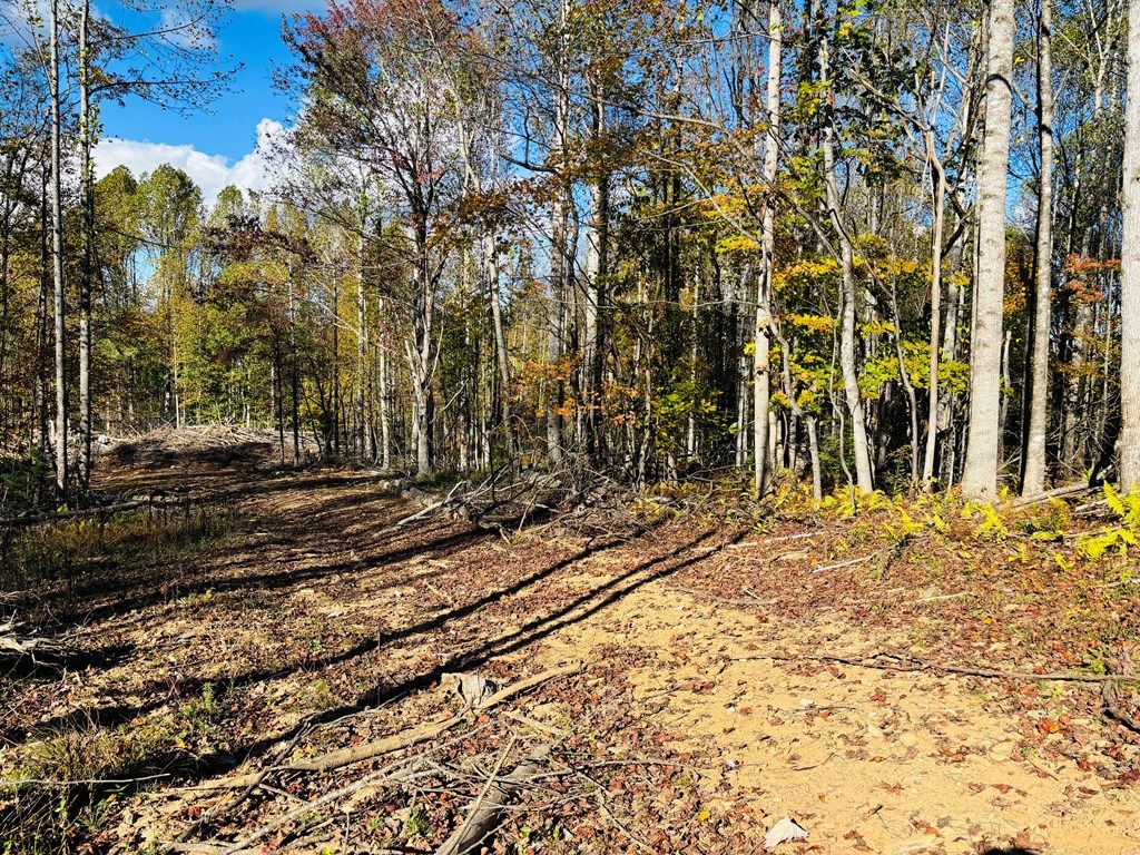 Photo of TBD Red Roof Lane #5, 6, 7, Laurel Fork, VA 24352 (MLS # 103899)