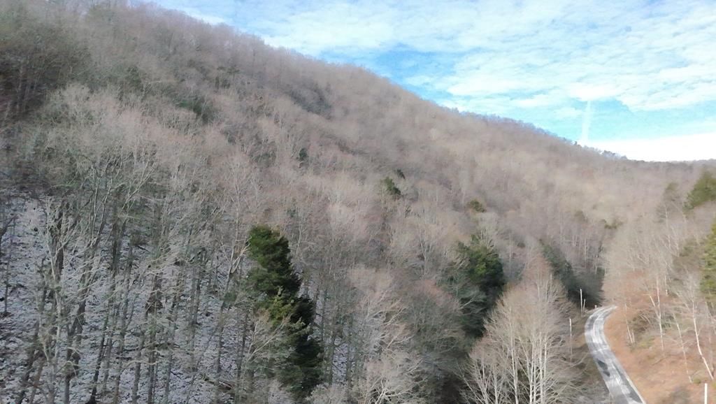 Photo of TBD Carlock Creek Road #0, Chilhowie, VA 24319 (MLS # 104371)