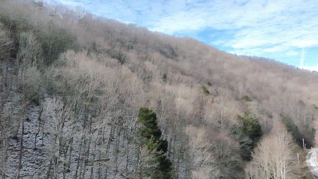 Photo of TBD Carlock Creek Road #0, Chilhowie, VA 24319 (MLS # 104371)