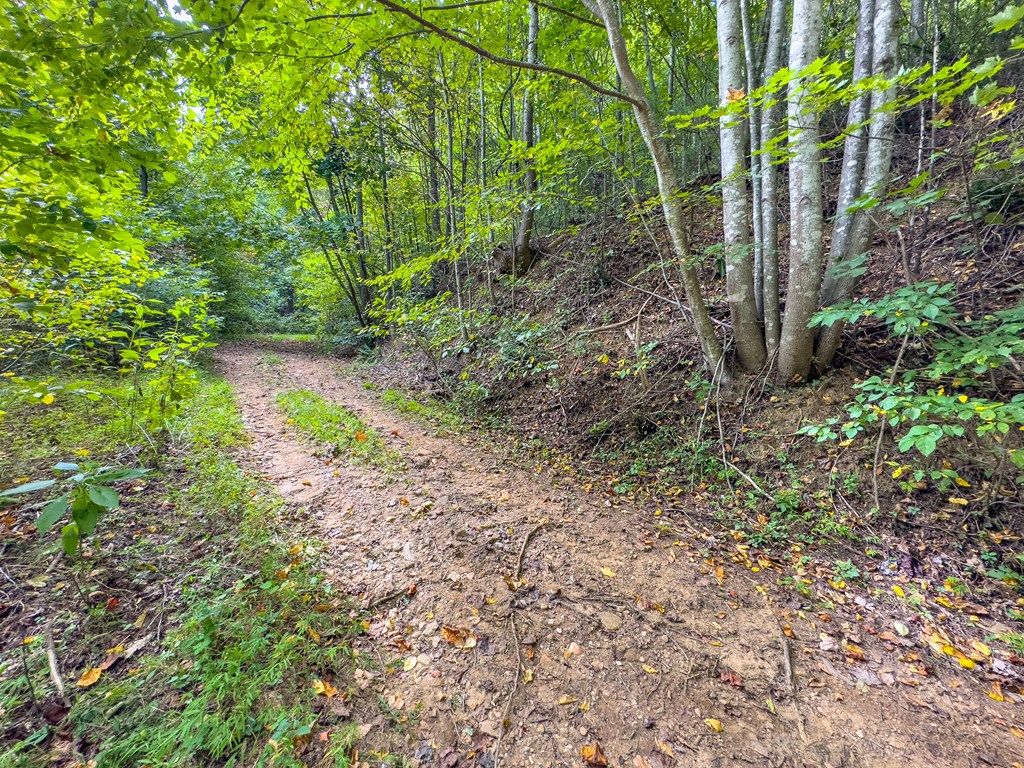 Photo of 206257 Covered Bridge Trl #257 &amp; 206, Fancy Gap, VA 24328 (MLS # 110134)