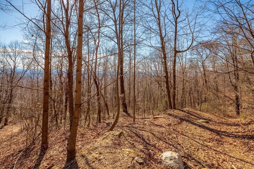Photo of 114 Spring Pond Trl #114, Fancy Gap, VA 24328 (MLS # 111126)