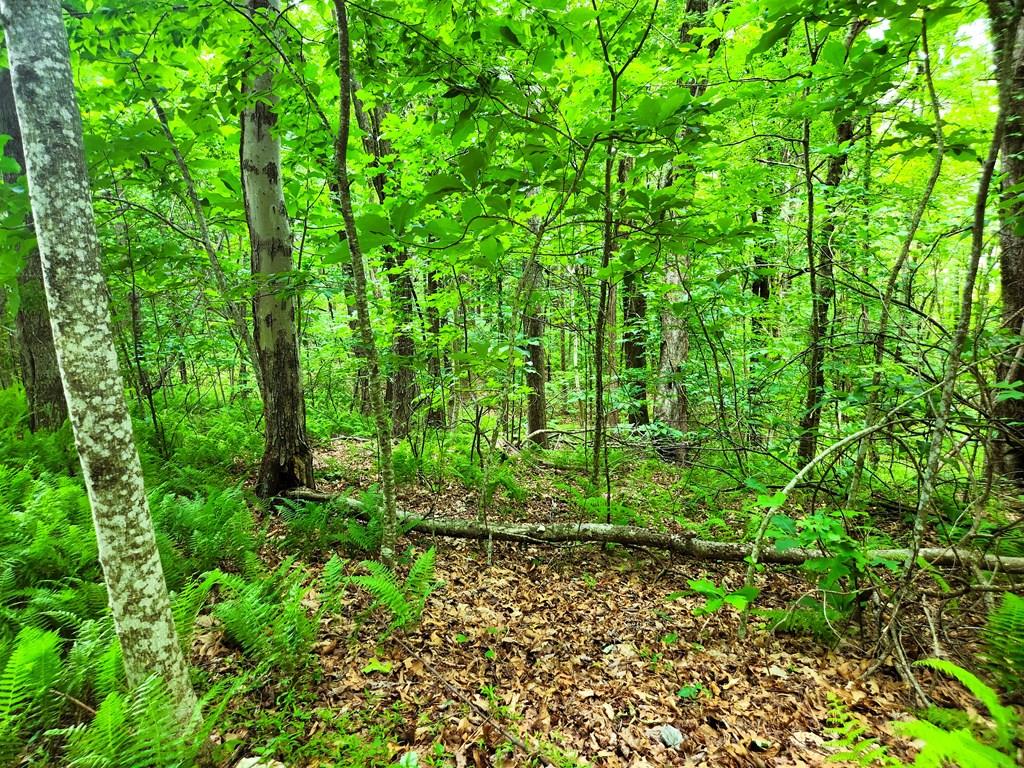 Photo of TBD Glennburn Ln #5, Vesta, VA 24177 (MLS # 110609)