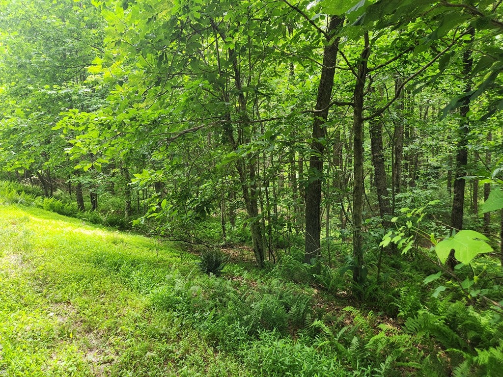 Photo of TBD Glennburn Ln #5, Vesta, VA 24177 (MLS # 110609)