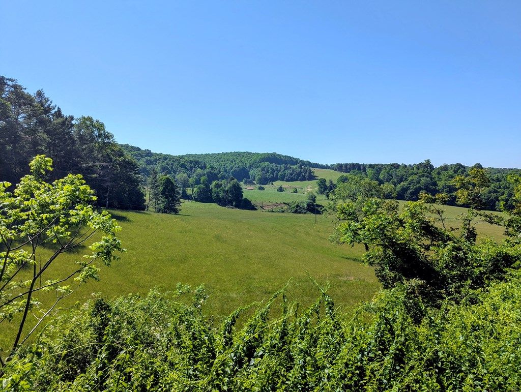 Photo of 261 Newmantown Rd, Dugspur, VA 24325 (MLS # 110302)