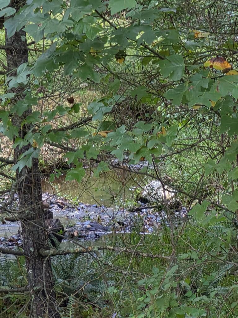 Photo of TBD Stone Ridge Rd #1, Austinville, VA 24312 (MLS # 112012)