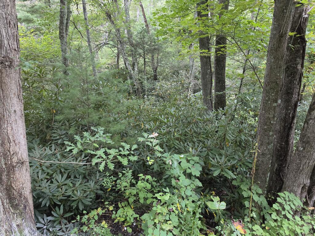 Photo of TBD Stone Ridge Rd #1, Austinville, VA 24312 (MLS # 112012)