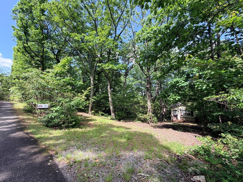 Photo of 728 Groundhog Hills Rd, Hillsville, VA 24343 (MLS # 110338)