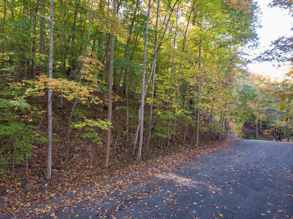Photo of 13 Skyline Drive #13, Bristol, TN 37620 (MLS # 105760)