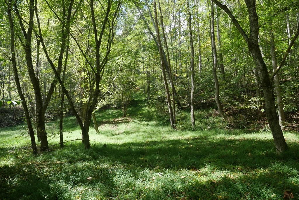 Photo of TBD Dean Hollow Road #1, Nickelsville, VA 24271 (MLS # 103623)