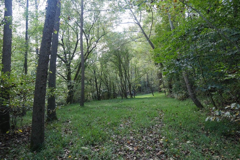 Photo of TBD Dean Hollow Road #1, Nickelsville, VA 24271 (MLS # 103623)