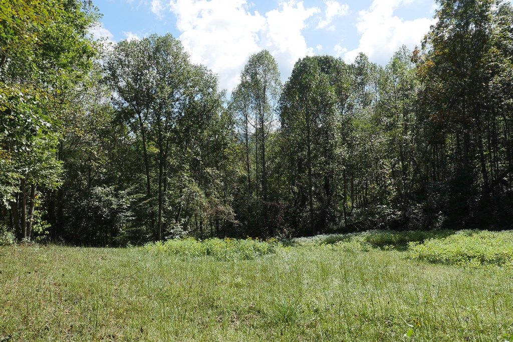 Photo of TBD Dean Hollow Road #1, Nickelsville, VA 24271 (MLS # 103623)