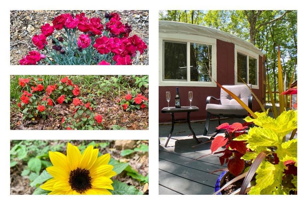 Photo of 3385 Bent Rd, Meadows of Dan, VA 24120 (MLS # 109628)