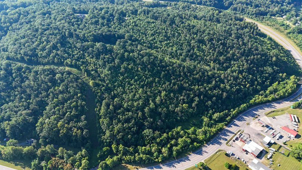 Photo of 0 Mt Calvary Church Rd #n/a, Stuart, VA 24171 (MLS # 94150)