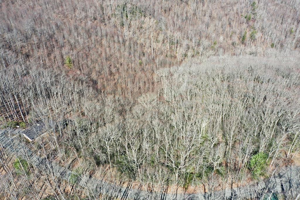 Photo of TBD Crooked White Oak Trail #16, Hillsville, VA 24343 (MLS # 98596)