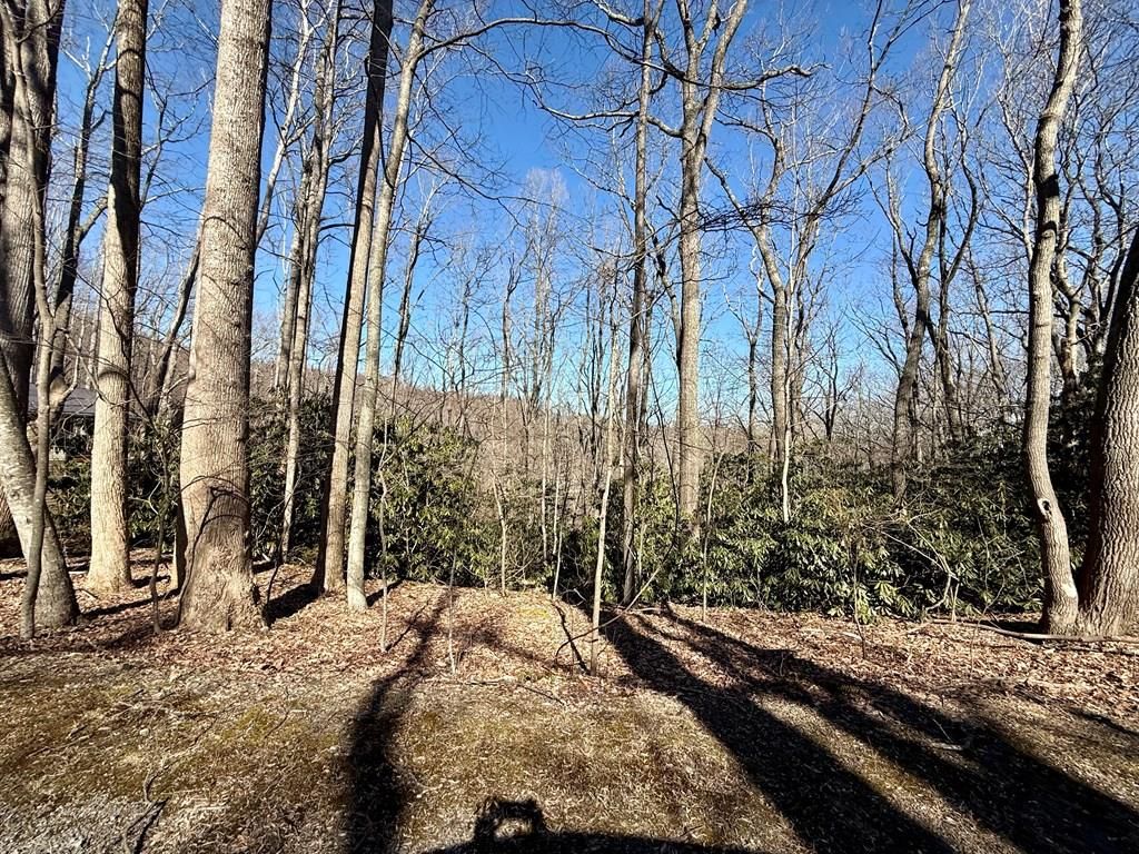 Photo of TBD Crooked White Oak Trail #16, Hillsville, VA 24343 (MLS # 98596)