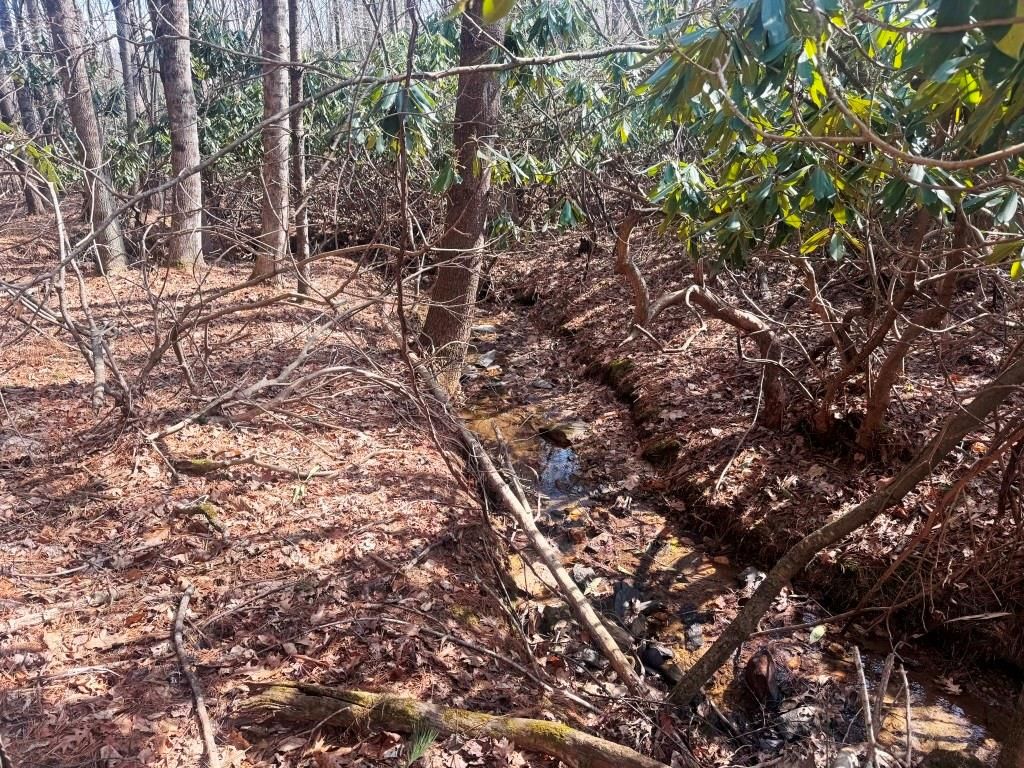 Photo of 12 Chances Creek Rd #12, Fancy Gap, VA 24328 (MLS # 109833)