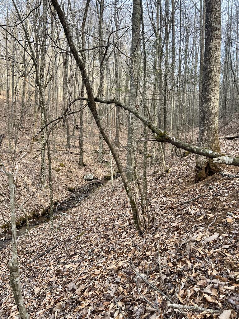 Photo of 12 Cove Lane #12, Woodlawn, VA 24381 (MLS # 112174)