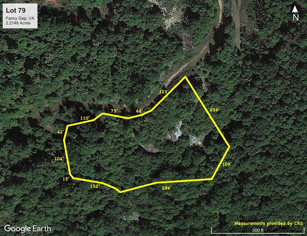 Photo of 79 Spring Pond Trl #79, Fancy Gap, VA 24328 (MLS # 103825)