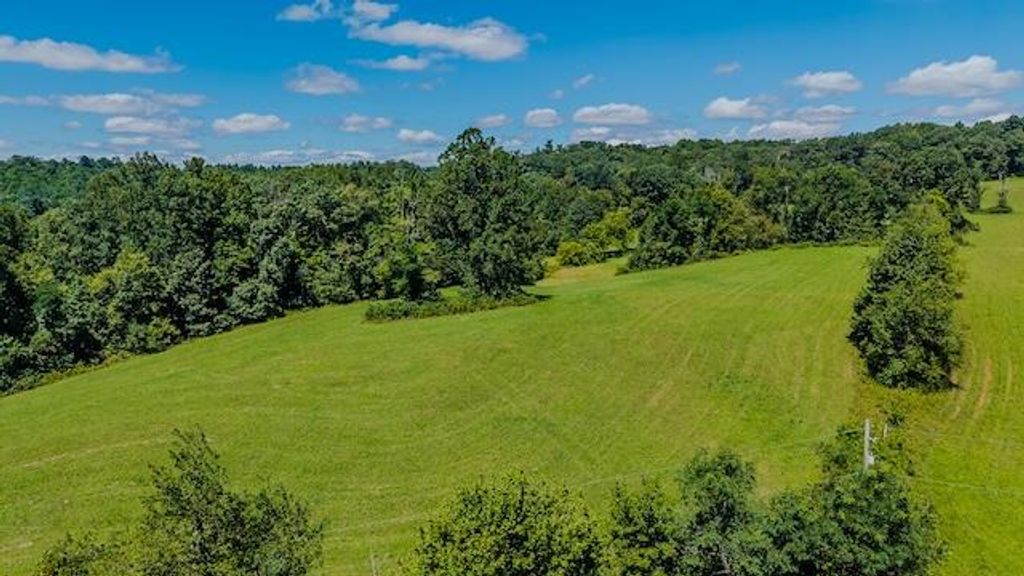 Photo of 0 Free Union Rd, Meadows of Dan, VA 24120 (MLS # 103487)
