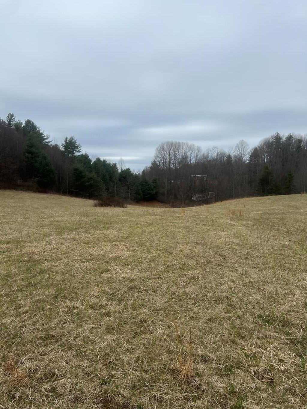 Photo of 299 Red Ford Rd #114, Meadows of Dan, VA 24120 (MLS # 110203)
