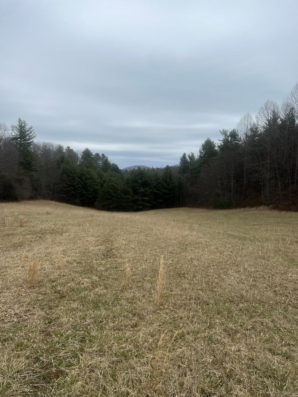 Photo of 299 Red Ford Rd #114, Meadows of Dan, VA 24120 (MLS # 110203)