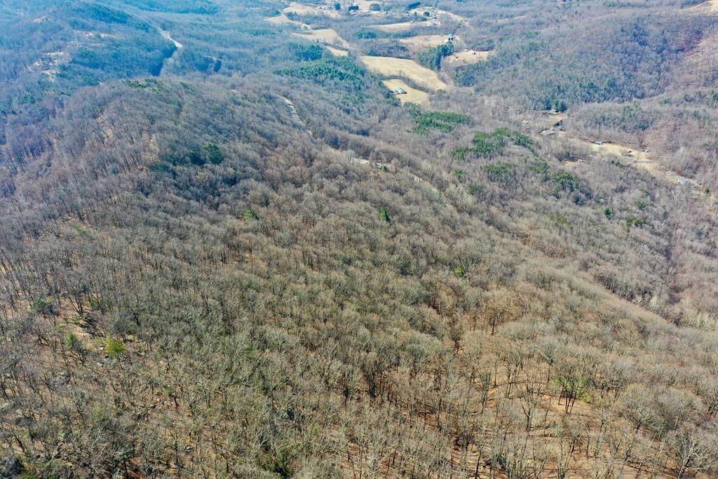 Photo of TBD Fancy Gap Highway #n/a, Fancy Gap, VA 24328 (MLS # 105840)