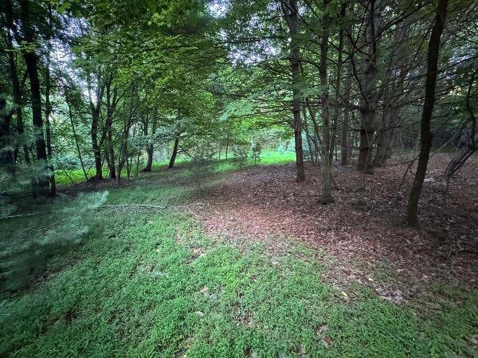 Photo of TBD Coulson Church Rd #N/A, Austinville, VA 24312 (MLS # 110931)